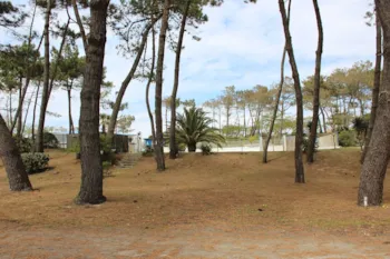 Stellplatz - Stellplatz Ohne Strom (80 - 100M²) - Le Saint Martin