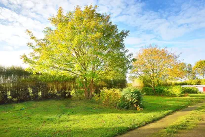Emplacement Cosy | Tente Et Véhicule -7 M | <100 M² | Électricité Et Eau