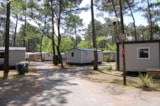 Foto #3 van Club Marina-Landes