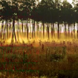 Foto #43 van Club Marina-Landes