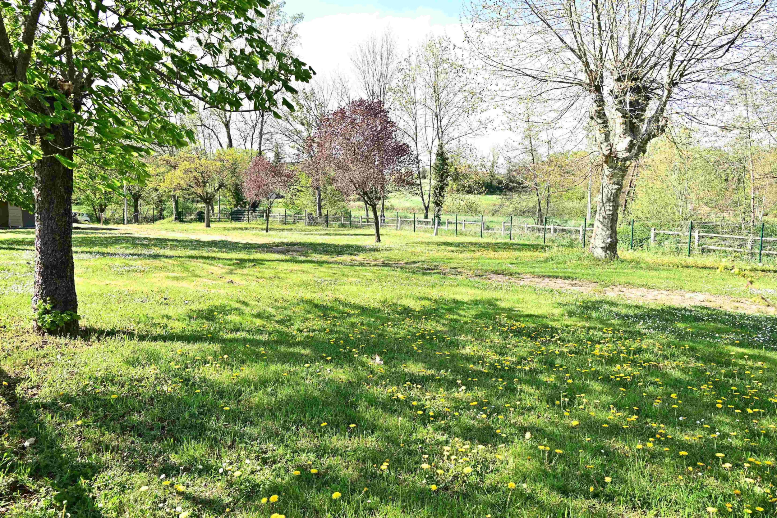 Camping de la Pra — Photo 4