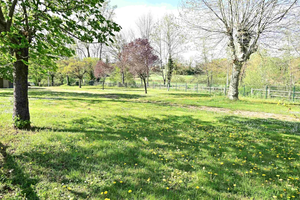 Pitch - Comfort Pitch - 1 Vehicle - Camping de la Pra