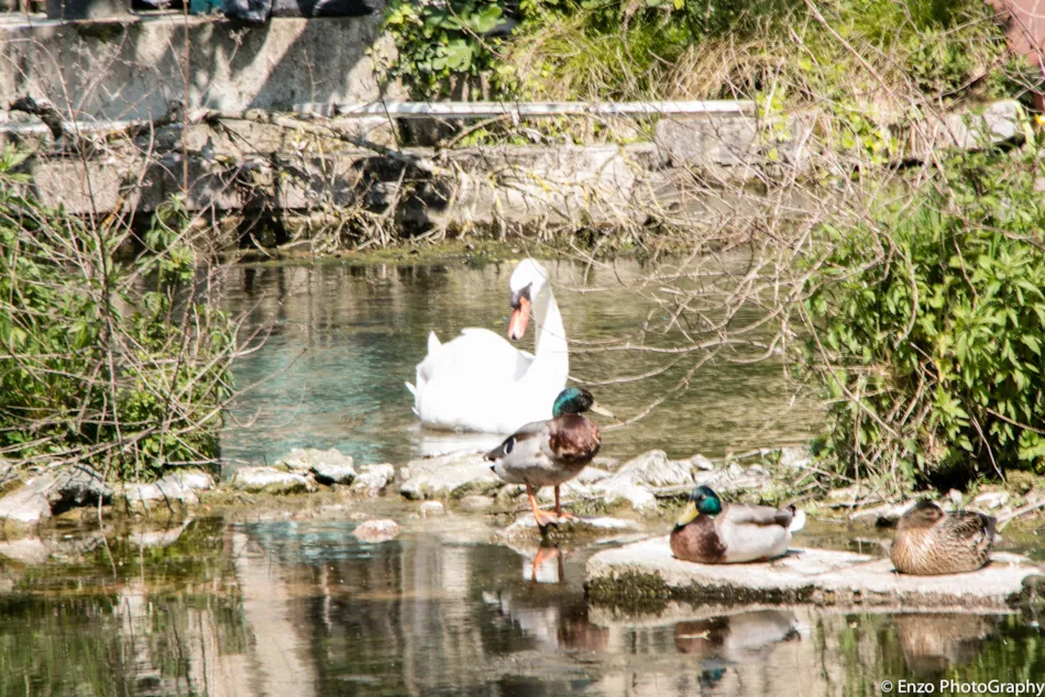 Camping de Bourg Charente