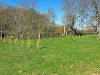 Kampeerplaats(en) - Tentplaats (Zonder Voertuig) - Camping de Bourg Charente