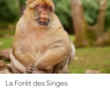 Foto #20 van Camping Baroudeurs