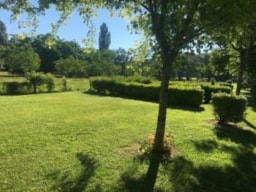 Emplacement - Forfait Privilège (Tente Ou Caravane / 1 Véhicule) - Camping MOULIN DE PAULHIAC