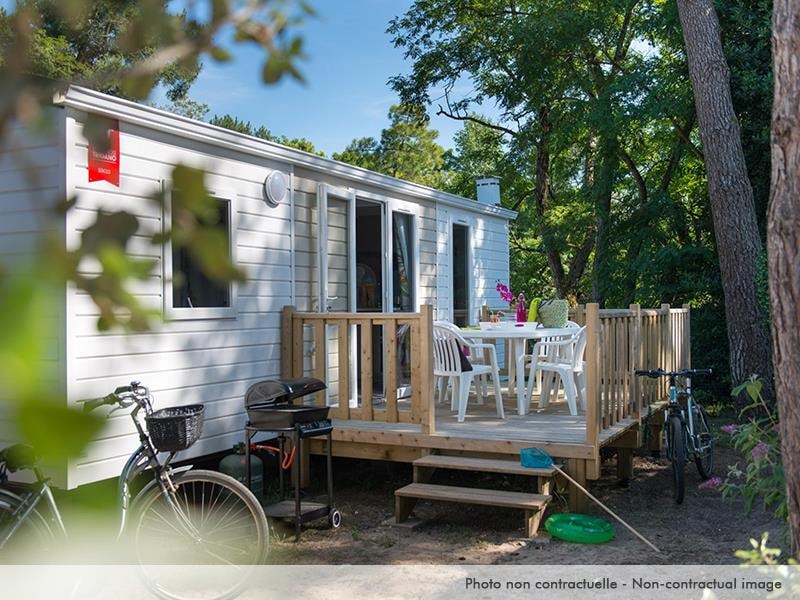 camping klappstuhl testsieger ALPINEZ Campingstuhl Faltbar & Leicht