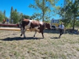 Foto #19 van Camping Naturiste du Port