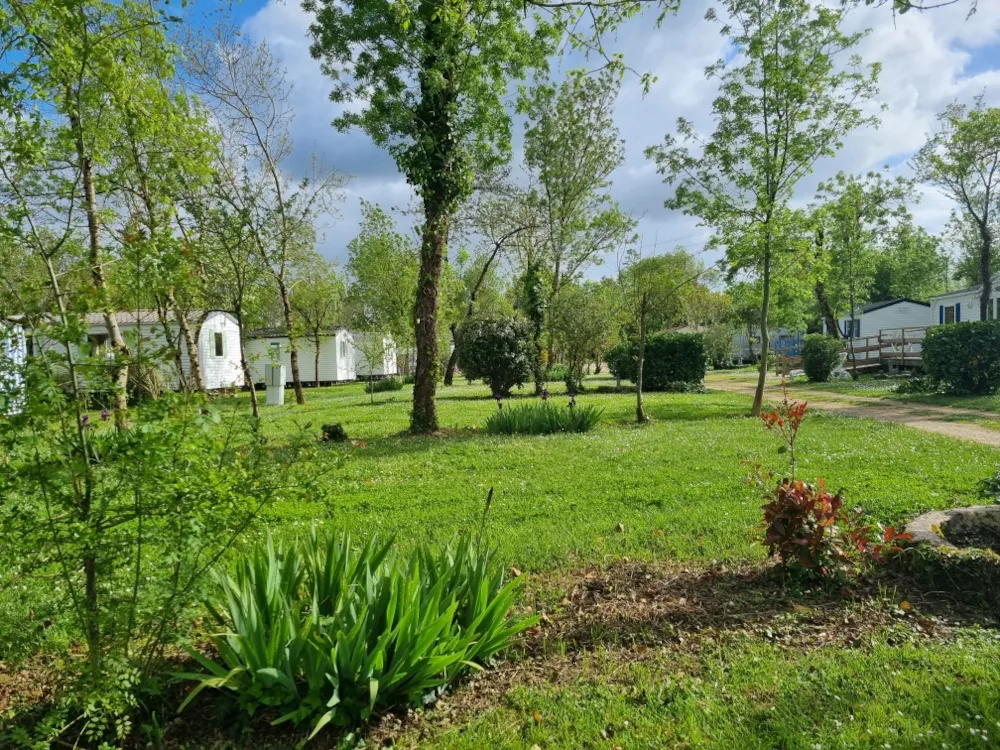 Mietunterkunft - Mobilheim 2 Schlafzimmer 20M² - Camping du Port