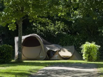 Stellplatz - Stellplatz 80 M² Unterholz + 1 Auto - Sites et Paysages de Penboch