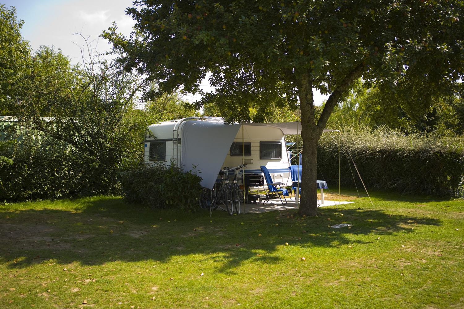 Pitch 80 m² (1car, tent or caravan+ 10A electricity+water)