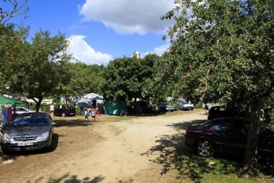 Pitch in the shade 80 m² undergrowth + 1 car