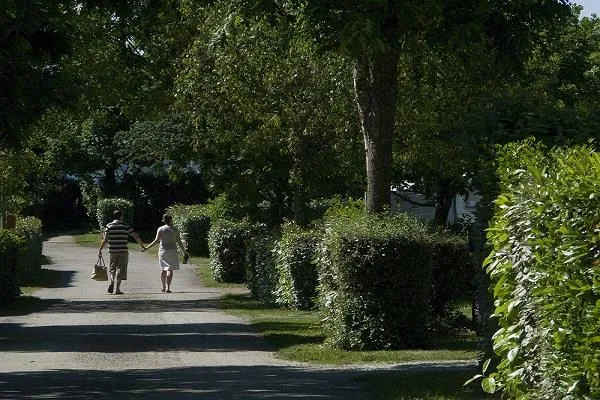 Emplacement Confort 120/130M² Avec 1 Véhicule Et Électricité 10 A