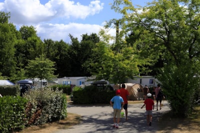 Pitch "grand confort" 80 m² (1car, tent or caravan+ 10A electricity+water)