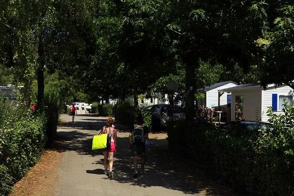 Emplacement Confort 80M² Avec 1 Véhicule Et Électricité 10 A