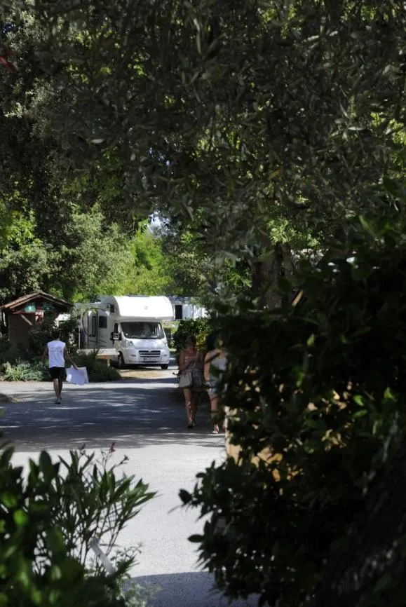 Emplacement + Voiture