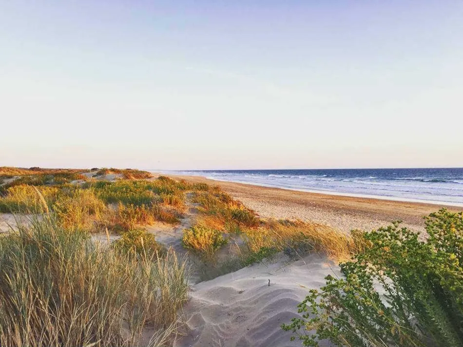 Airotel Camping LES GROS JONCS