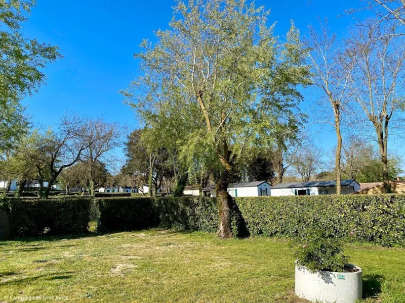 Emplacement + Voiture