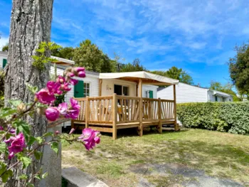 Mietunterkunft - Cottage Santoline - Airotel Camping LES GROS JONCS