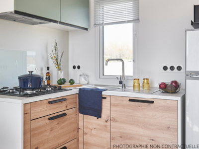 Cottage Iberis — 3