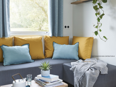 Cottage Olearia — 4