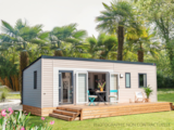 Cottage Olearia Cottage Olearia