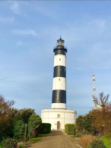 Foto #38 van Airotel Camping LES GROS JONCS