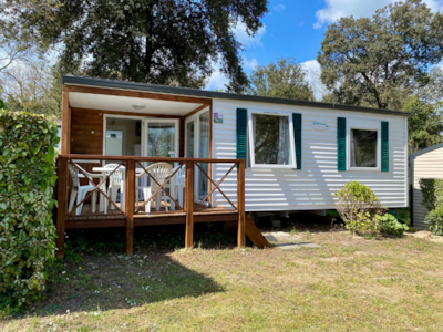 Cottage Albizia — 1