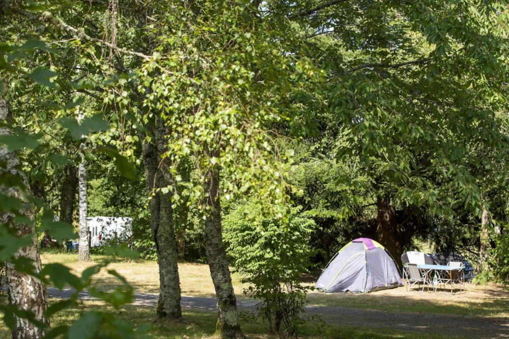 Emplacement - Forfait Confort, Avec Électricité - Camping du Lac de Saint-Pardoux