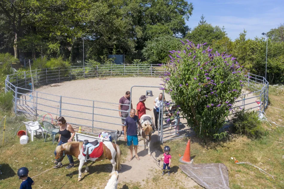 Camping du Lac de Saint-Pardoux