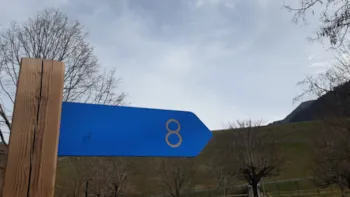 Stellplatz - Stellplatz Nature Zone Bleu (Wohnwagen, Wohnmobil / 1 Auto) - Camping Le Martinet 