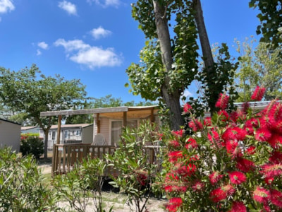 MOBIL-HOME 2 BEDROOMS - without air conditioning
