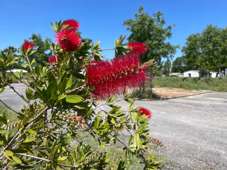 Camping Seasonova Ensoya