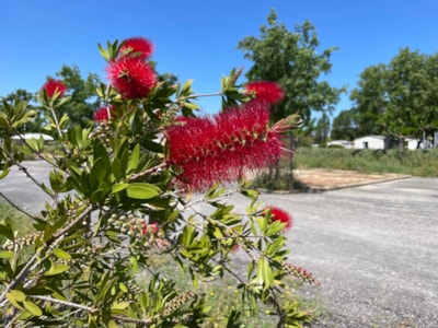 Camping Seasonova Ensoya