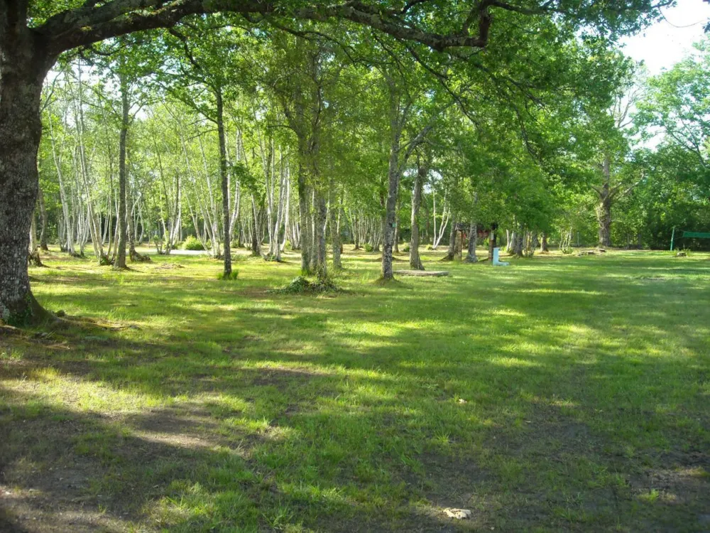 Stellplatz - Simple Stellplatz + Fahrzeug - Campings Liberté - Lacanau