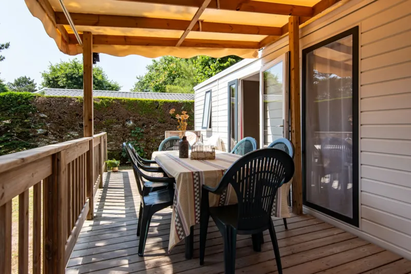 Cottage Nirvana Classic / D