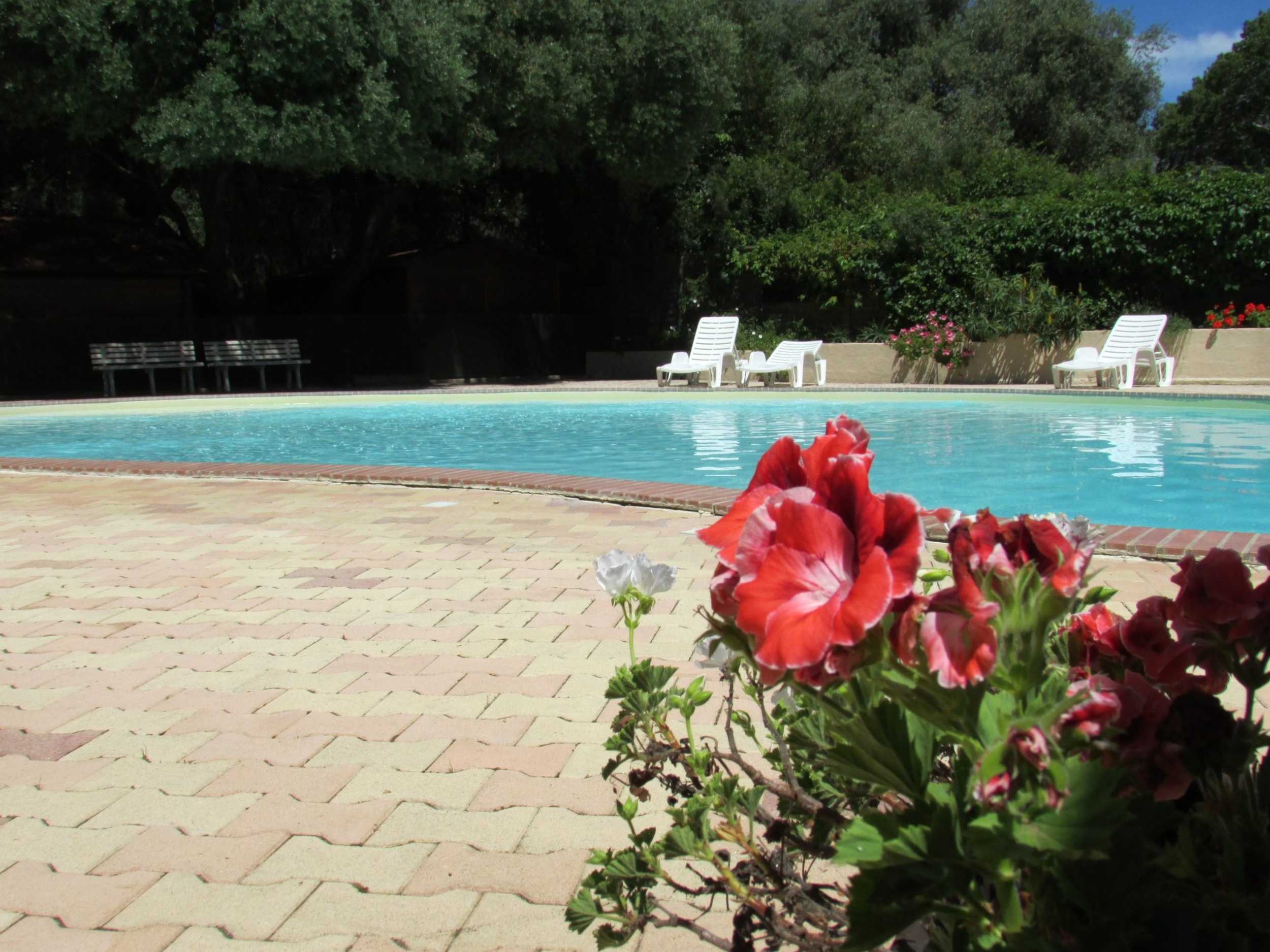 Camping d'Olzo — Photo 3