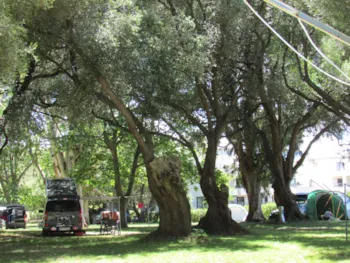 Emplacement - Emplacement (Tente, Caravane Ou Camping-Car) - Bornes Électriques Cee - Camping d'Olzo