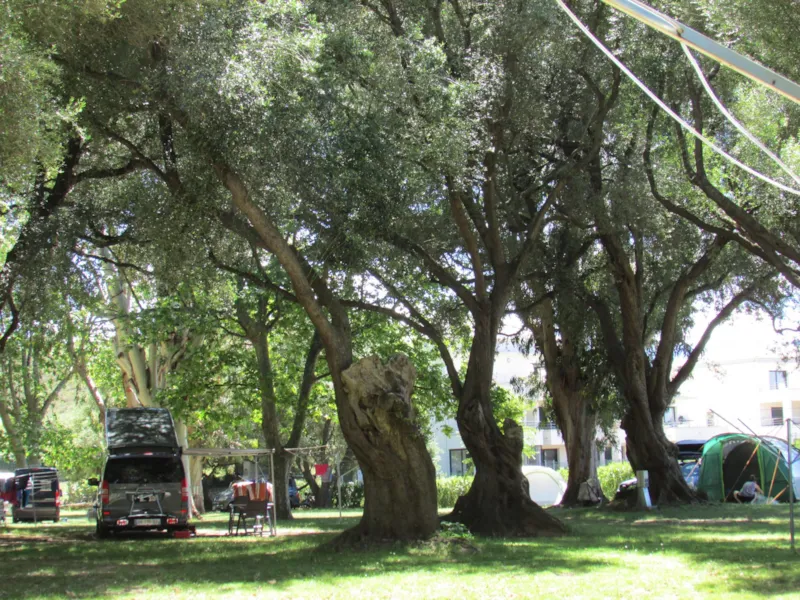 Emplacement (Tente, Caravane Ou Camping-Car) - Bornes Électriques Cee