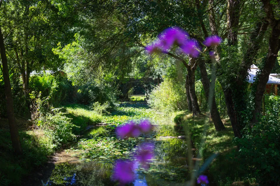 Camping de l'Etang Sites et Paysages