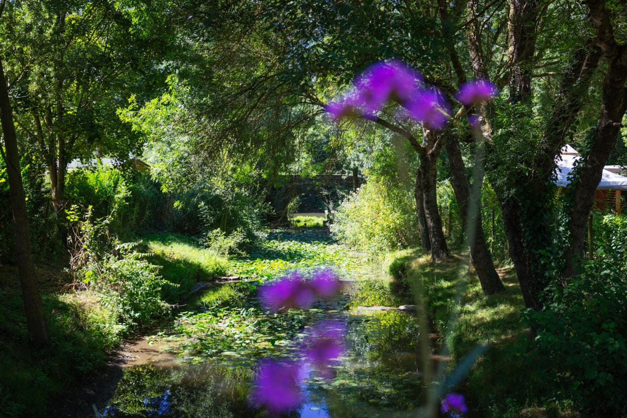 Camping de l'Etang Sites et Paysages