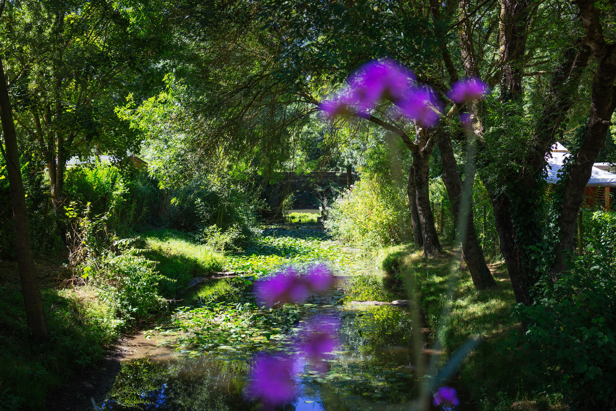 Camping de l'Etang Sites et Paysages — Photo 4