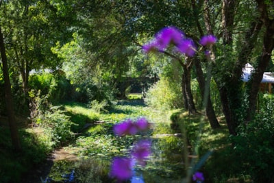 Camping de l'Etang Sites et Paysages