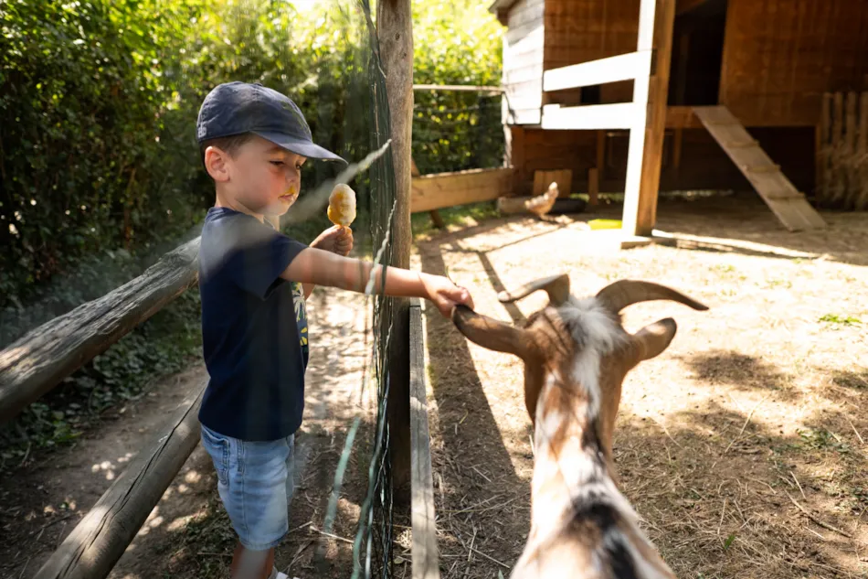 Camping de l'Etang Sites et Paysages