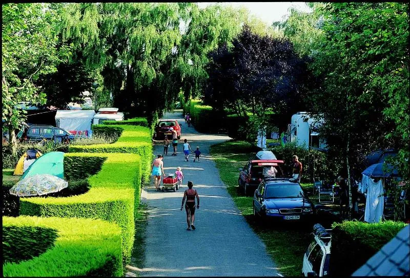 Emplacement + Voiture + Électricité 10A