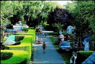Pitch + car + electricity 10A — 5