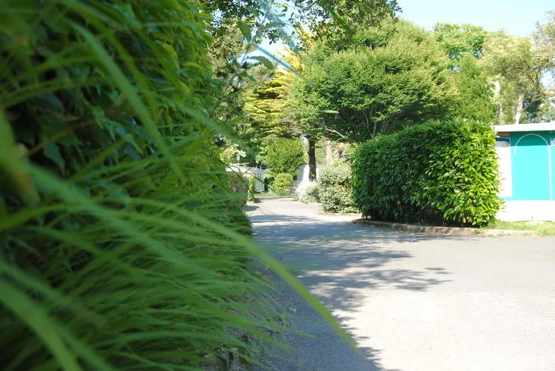 Emplacement + Voiture + Électricité 10A