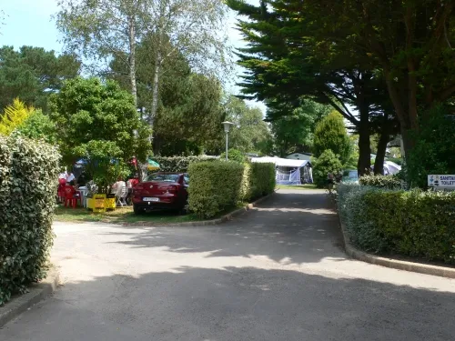 Emplacement + Voiture + Électricité 15A