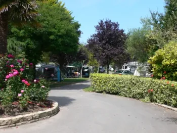 Stellplatz - Stellplatz + Auto + Strom 15A - AIROTEL Camping LE RAGUENES PLAGE