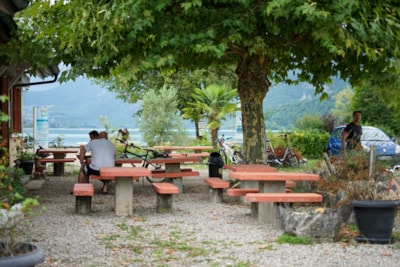 Camping package (pitch, 2 people, 1 vehicle)